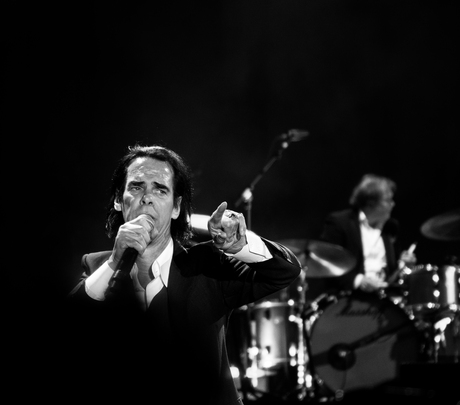 Nick Cave