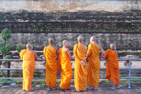 Monniken in Chiang Mai