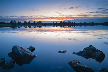 Blauwe uurtje aan de Maas bij Afferden