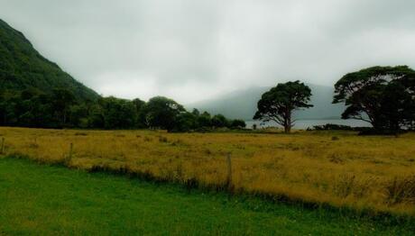 Killarney park