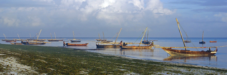 Panorama Zanzibar 2