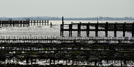 wandelaar of mosselman?