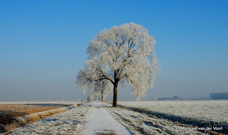 Winterlandschap