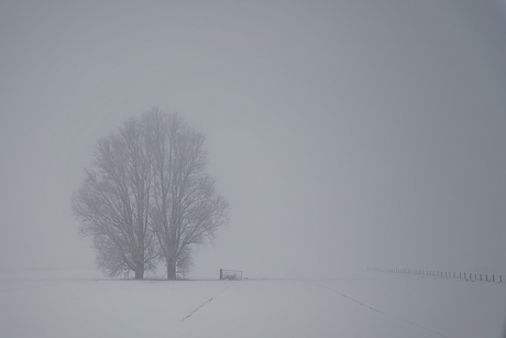 WinterMist