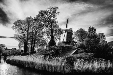 Daar bij die Molen