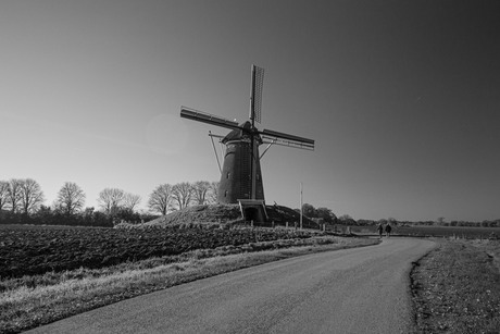 molen met landschap