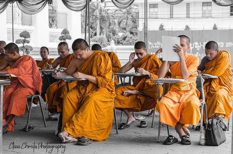 Studying monks