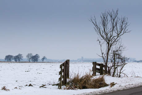 Polder