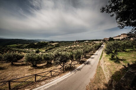 toscaans landschap