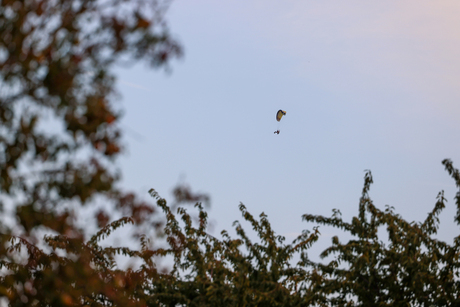 Parasailing