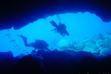 Cave Diving ...