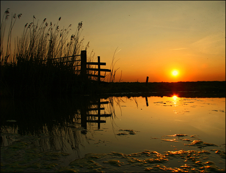 De zon omlaag