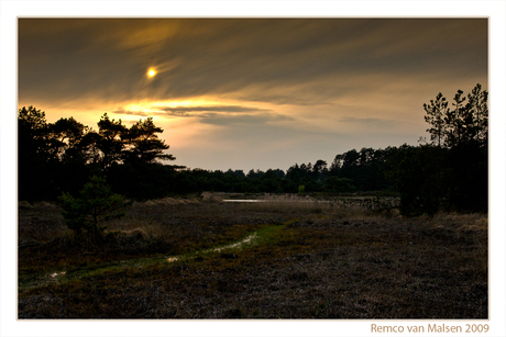 Avondzon in Bos