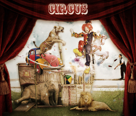 Ark Of Circus ...