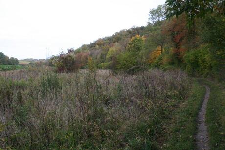 Herfstig Gerendal.jpg