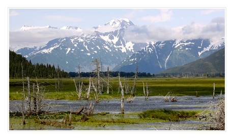 Kenai Peninsula