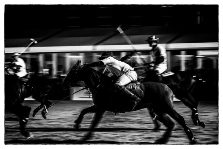 City Polo Vrijthof Maastricht