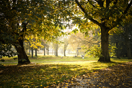 Park op zonnige herfstdag