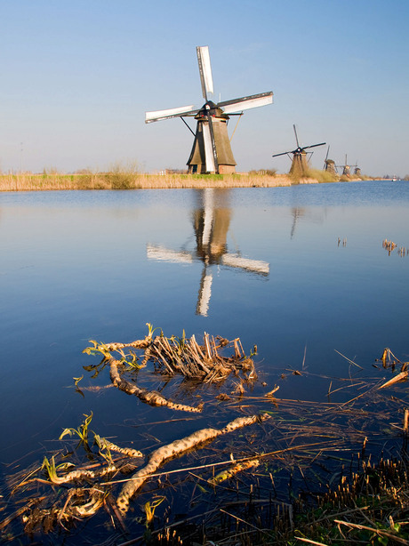 Kinderdijk