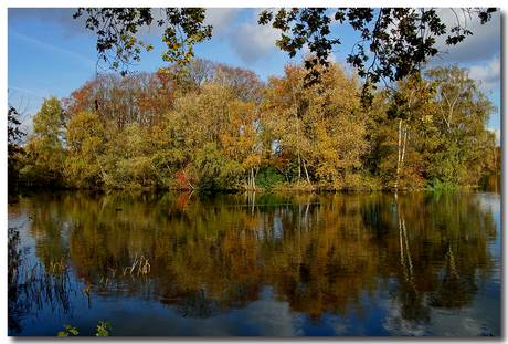 Karpendonkse Plassen in herfsttinten