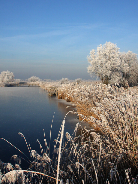 zonder brug ook over te steken