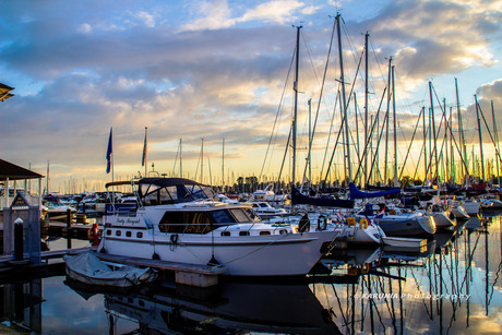 Boats (Hellevoetsluis)