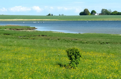 Roskilde Fjord.