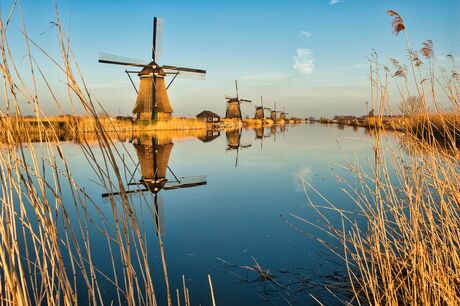 Kinderdijk