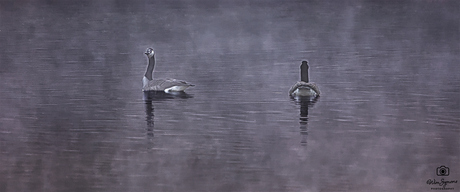 Silent Distance