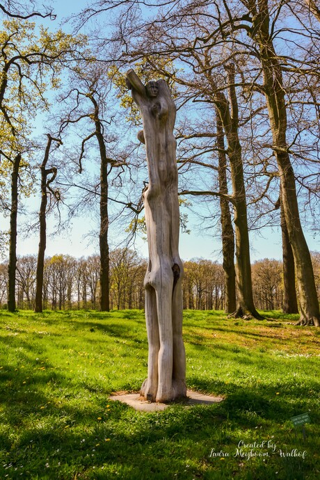 Tuinbeeld van een oude boomstam 