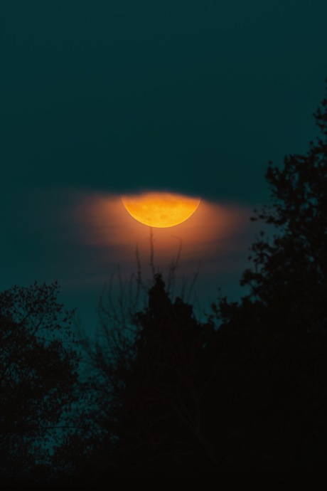 Moonrise.