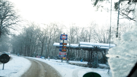 onderweg naar het bos 