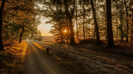 Ondergaande zon in Salland