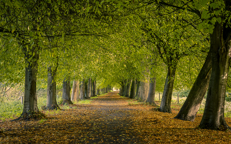 Broekpolder, Vlaardingen