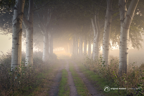 Wanneer de mist blijft hangen...