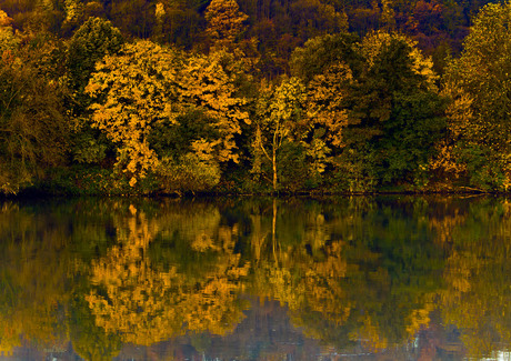 Herfst spiegeling