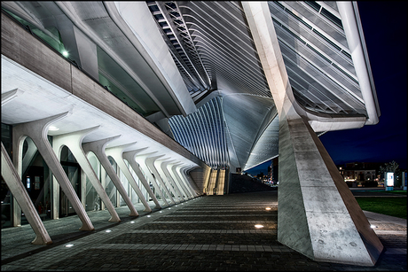 Guillemins 03