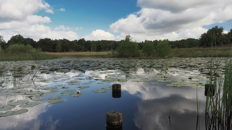 Aan het water