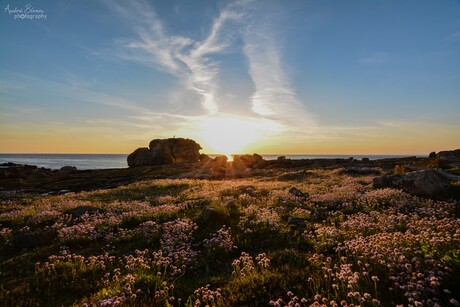 Coucher du Soleil ~ 2