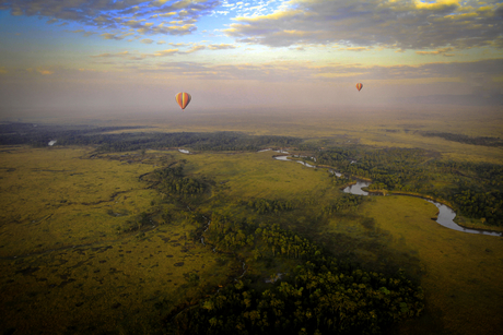 Hot air balloon