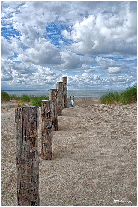 Maasvlakte