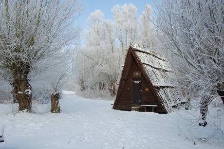 Winter in de Biesbosch