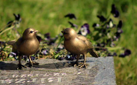Samen..............