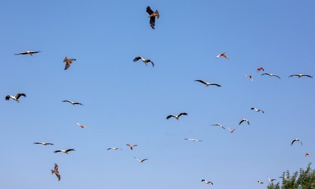 feest in de lucht