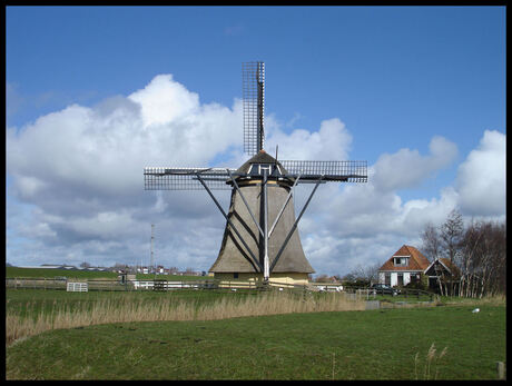 Het mooie landschap van Friesland