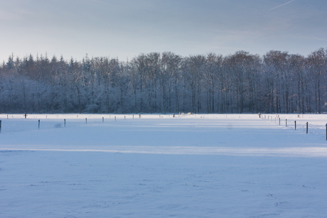 Witte rust