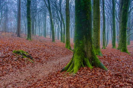 Herfst in mariendal