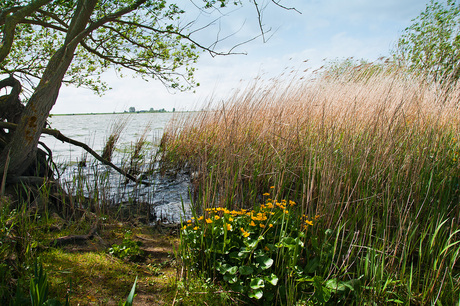 mei 2013 Tiendgorzen