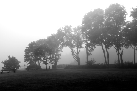Park in de mist