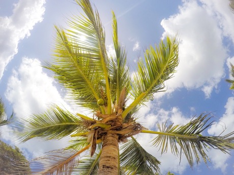 Varadero, Cuba